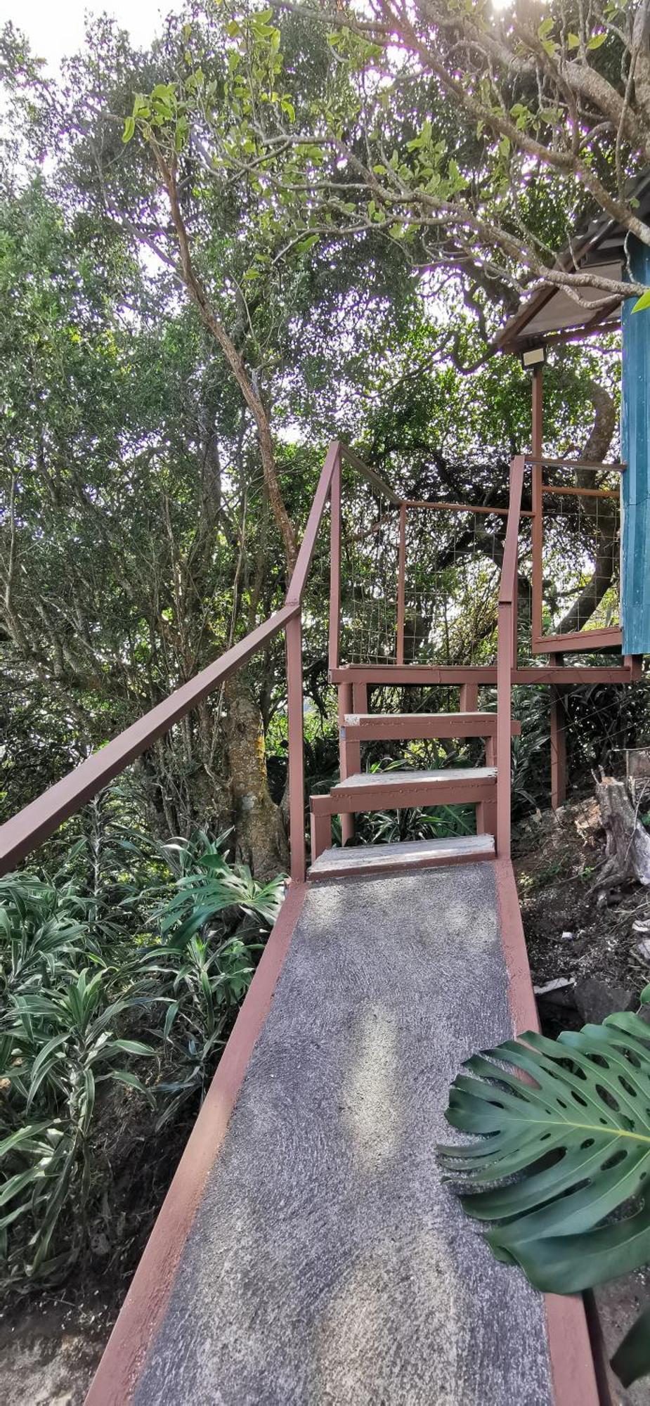 Mora's Place B&B Monteverde Exterior foto